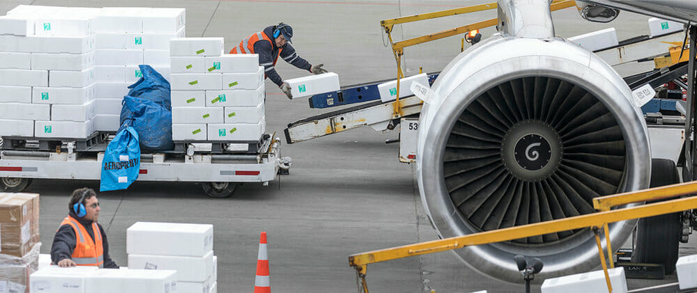 Air Freight Screening