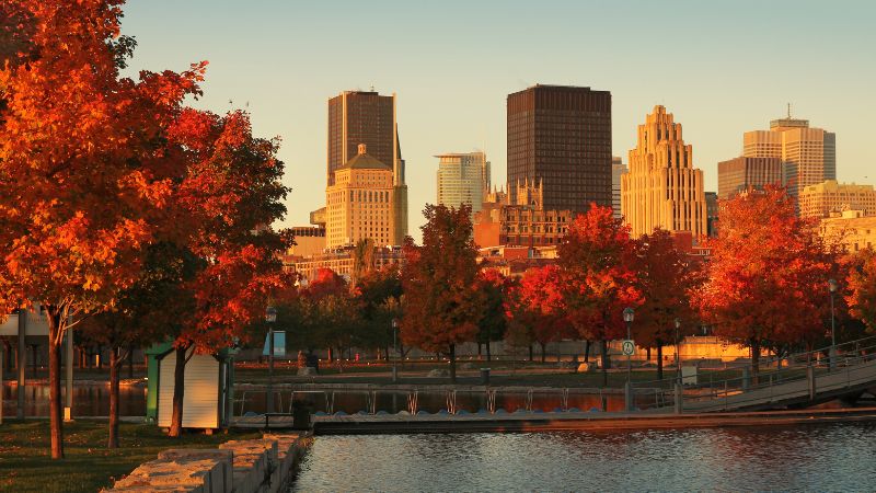 Horizonte de la ciudad en otoño con árboles rojos y naranjas, cielo despejado y luz del sol reflejándose en los edificios y el agua.